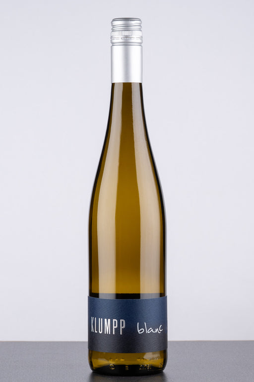 Blanc 2024 BIO - Weißwein