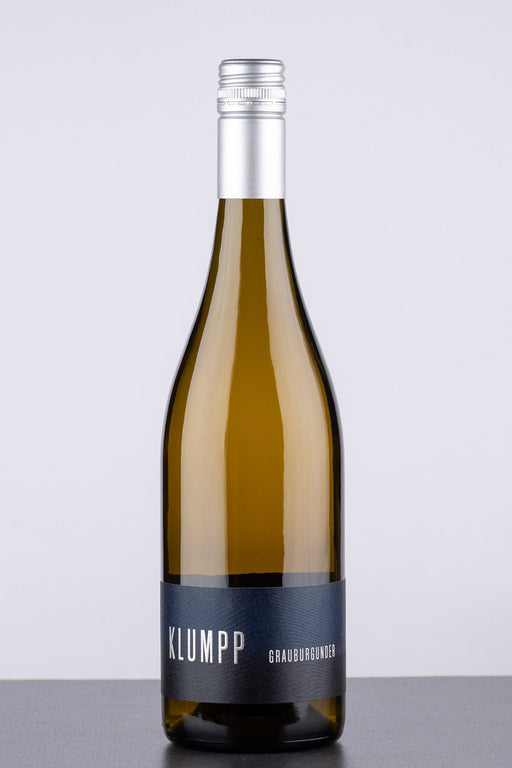 Grauburgunder 2023 BIO - Weißwein
