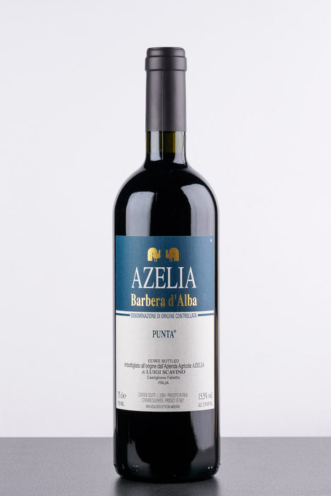 Barbera D´Alba DOC Punta 2021 - Rotwein