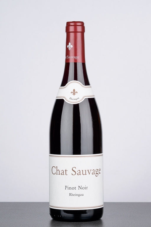 Pinot Noir Rheingau 2019 - Rotwein